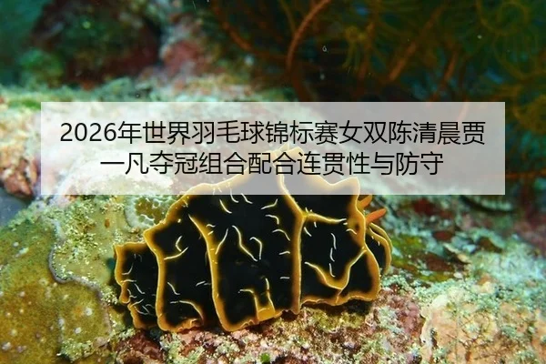 nian-shi-jie-yu-mao-qiu-jin-biao-sai-nv-shuang-chen-qing-chen-jia-yi-fan-duo-guan-zu-he-pei-he-lian-guan-xing-yu-fang-2-804.jpg