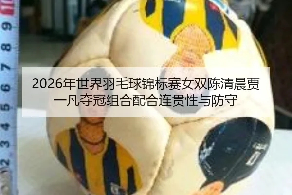 2026年世界羽毛球锦标赛女双陈清晨贾一凡夺冠组合配合连贯性与防守