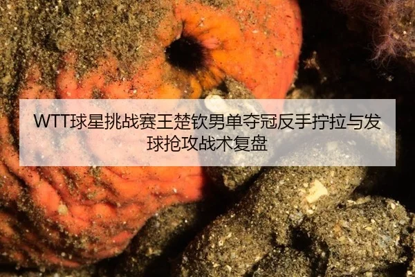 qiu-xing-tiao-zhan-sai-wang-chu-qin-nan-dan-duo-guan-fan-shou-ning-la-yu-fa-qiu-qiang-gong-zhan-shu-fu-pan-3-745.jpg