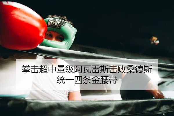 拳击超中量级阿瓦雷斯击败桑德斯 统一四条金腰带